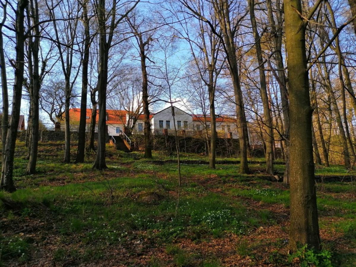 Hotel Kreuzbergbaude Beim Berzdorfer See Mit Wohlfuehl Sauna Markersdorf Exterior photo